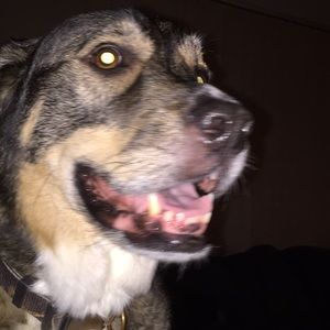 Meet your Posher, Joann